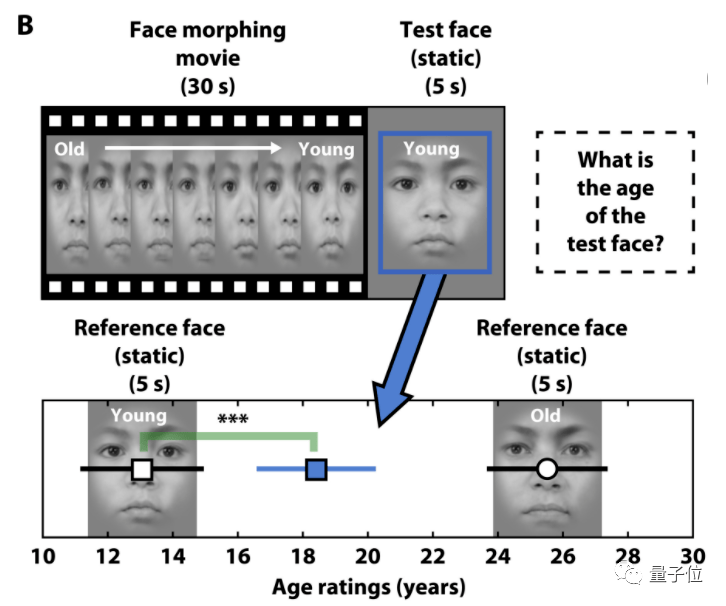 大脑“拖延症”让你直呼“眼瞎”：加工视觉信息有15秒延迟 | Science子刊插图4