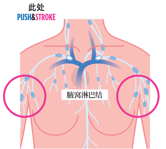 上臂松弛的“拜拜肉”好明显！这样按摩轻松解决插图2