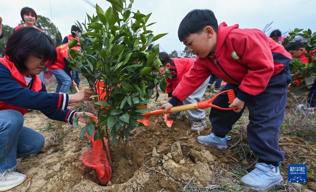 “植树护绿”开启春季校园劳动课插图