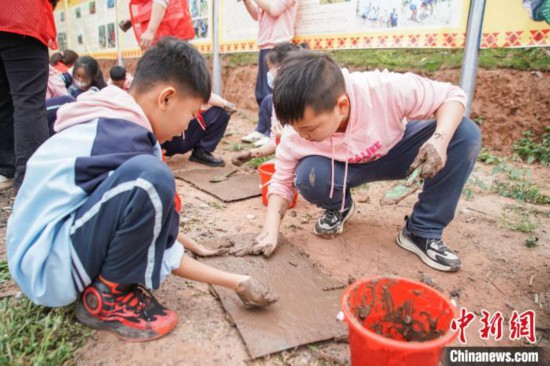 惊蛰时节 广西南宁小学生进行田间研学插图1