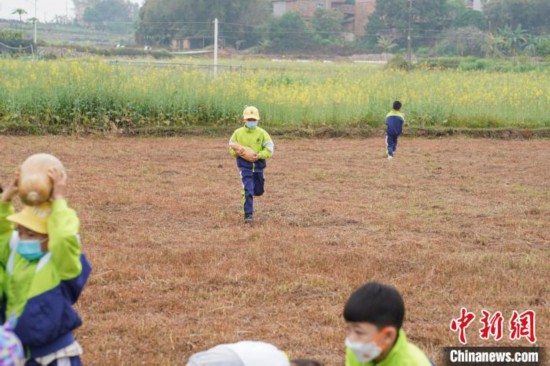 惊蛰时节 广西南宁小学生进行田间研学插图3