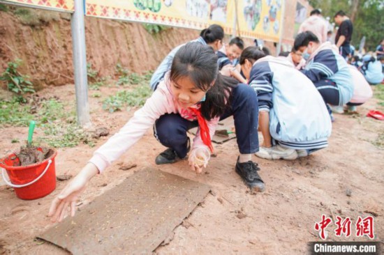 惊蛰时节 广西南宁小学生进行田间研学插图