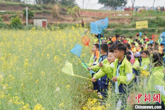 惊蛰时节 广西南宁小学生进行田间研学插图5