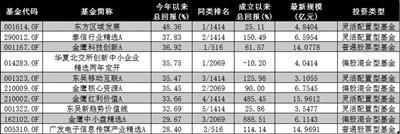 基金年度“成绩单”角逐进入白热化插图1