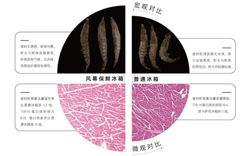 行业首例！卡萨帝冰箱：让您发现看不见的新鲜插图2