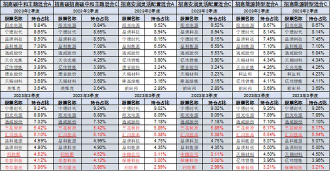 造星记丨亏损54%！押宝新能源的任琳娜还是调仓了插图2