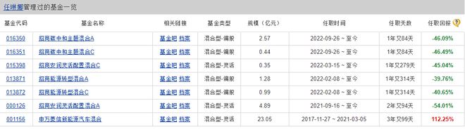 造星记丨亏损54%！押宝新能源的任琳娜还是调仓了插图1