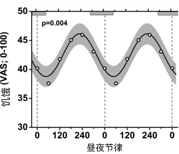 一到晚上就饿：狂想吃东西 还有救吗插图