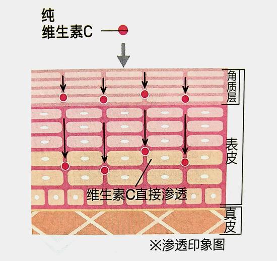 美肤成分维生素C 涂一点喝一点的活用方法插图8