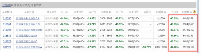 造星记丨亏损54%！押宝新能源的任琳娜还是调仓了插图