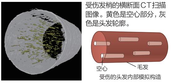 解决毛发弯曲和松软发质 按摩头皮+重视油分护理插图9