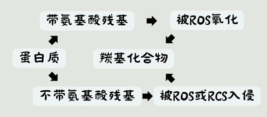 为什么说冬季肌肤抗糖难上加难啊？插图9