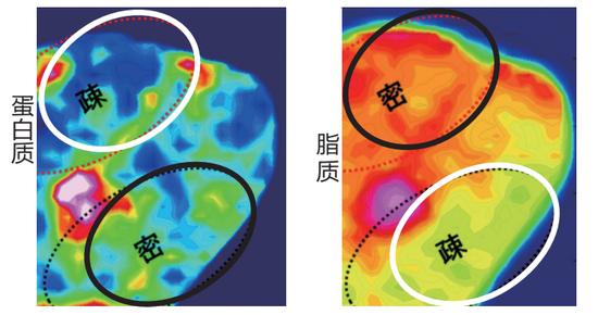 解决毛发弯曲和松软发质 按摩头皮+重视油分护理插图10