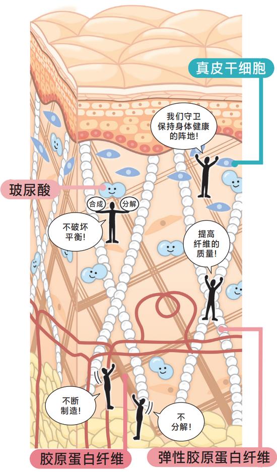 年龄增长和紫外线损伤肌肤 教你如何预防深层皱纹插图4