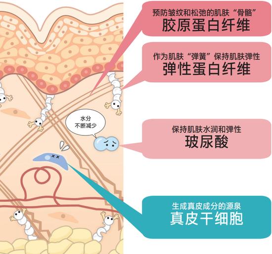 年龄增长和紫外线损伤肌肤 教你如何预防深层皱纹插图3