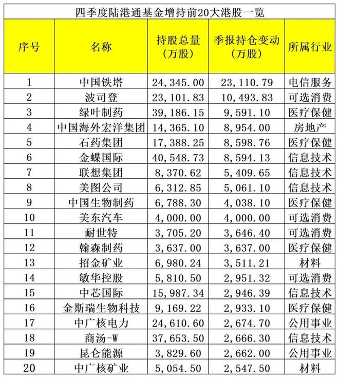 大举加仓这些股！港股基金最新持仓插图2