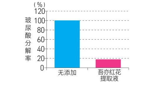 年龄增长和紫外线损伤肌肤 教你如何预防深层皱纹插图5