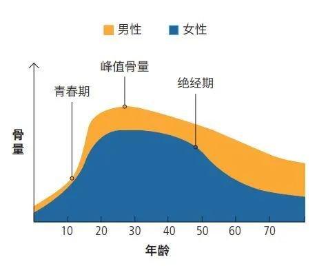 骨相美人更耐老 抗老秘诀在于多补钙插图7