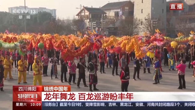 百龙巡游、水乡市集……各地热闹庆新年插图