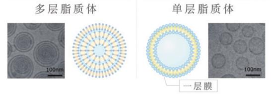 春季美白用什么 10款好物帮你有针对性的变白插图25