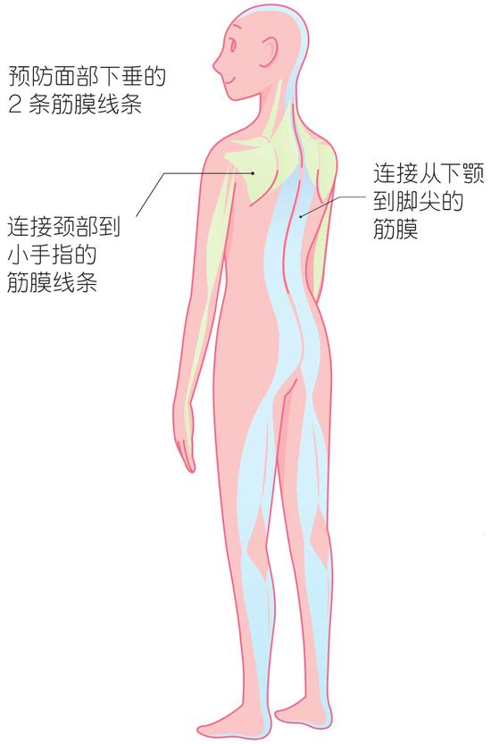 预防面部皮肤松弛 这些方法超有效！插图4