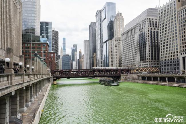 美国芝加哥河被染成绿色插图3