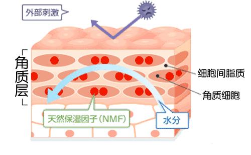 春敏可不是单纯的皮肤敏感 这些问题要注意插图2