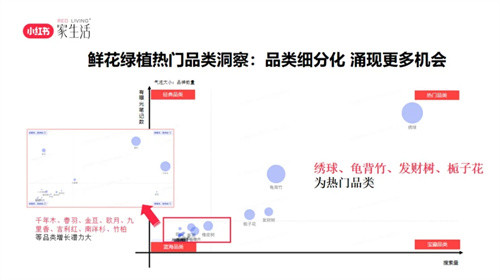 小红书”筑巢 “计划四站收官 ,助力家居品牌生意增长插图8