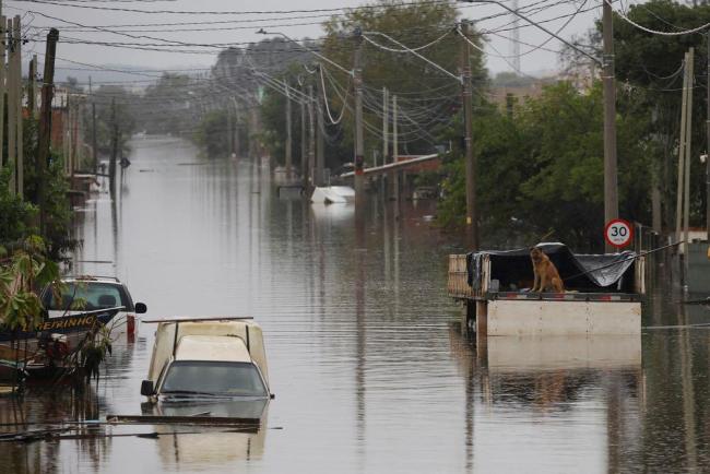 巴西南里奥格兰德州暴雨已致147人死亡插图