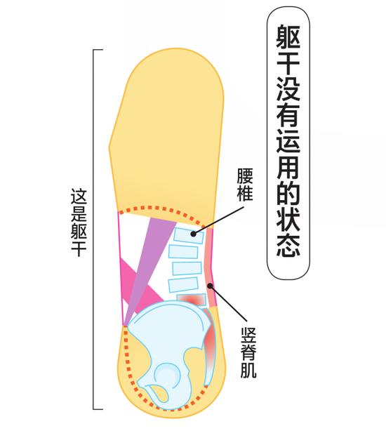 身体疼痛、塑形困难可能是因为没有正确运用躯干！插图1