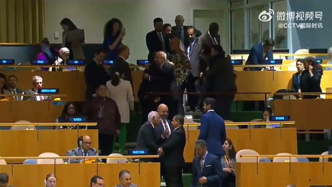 联大通过涉巴勒斯坦入联决议多国驻联合国代表祝贺插图