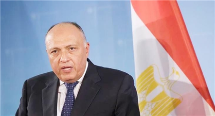 埃及支持南非起诉以色列 呼吁加沙停火插图