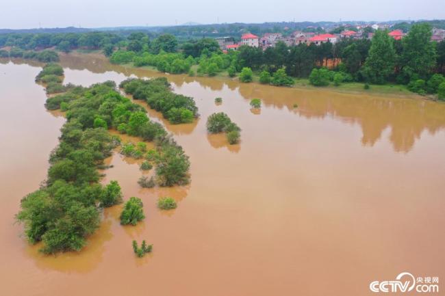 江西吉安：受强降雨影响 赣江水位持续上涨插图3