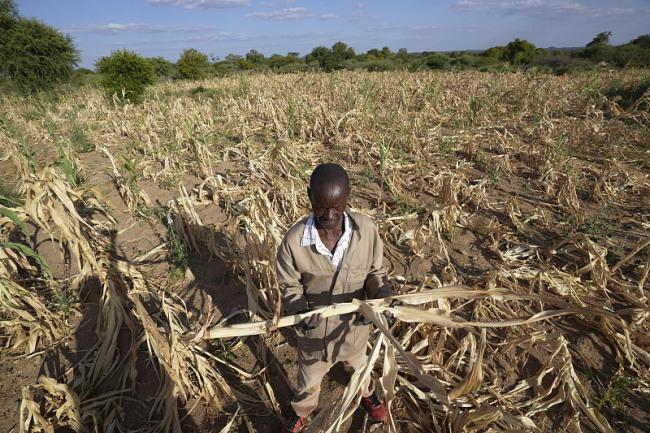 干旱威胁粮食安全 津巴布韦呼吁国际社会施以援手插图