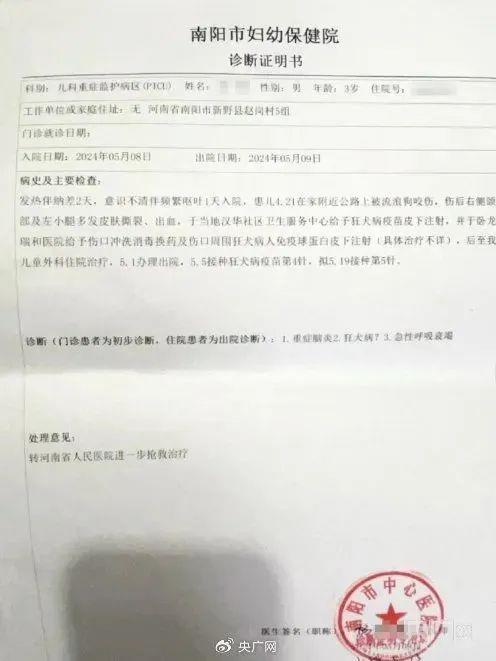 3岁男童被狗咬伤离世 接种疫苗为何“无效”？插图