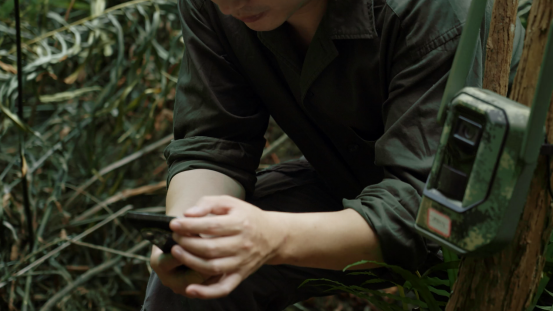 探寻中华穿山甲的过去与现在: 海康威视STAR科技公益助力物种保护与延续插图2