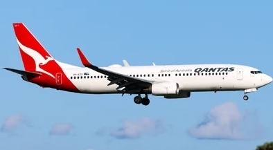 澳航一客机空中撞鸟后被迫返航 紧急降落悉尼机场插图