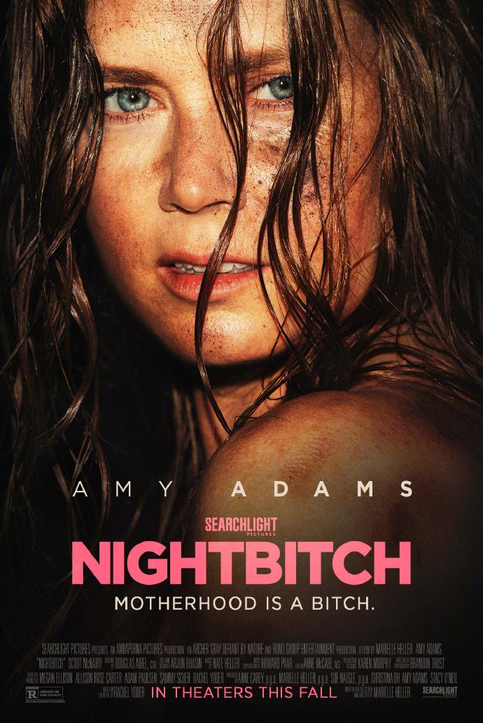 《夜色女人》发布海报 艾米·亚当斯探索母性插图