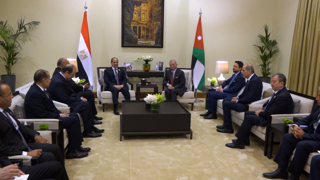 约旦国王会见埃及总统 强调人道援助加沙重要性插图