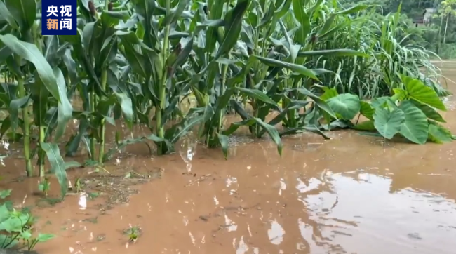 重庆18个区县出现暴雨 8条河流一度超警插图2