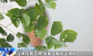 嘘寒问暖获信任 “保险专员”盯上老年人骗保单缩略图