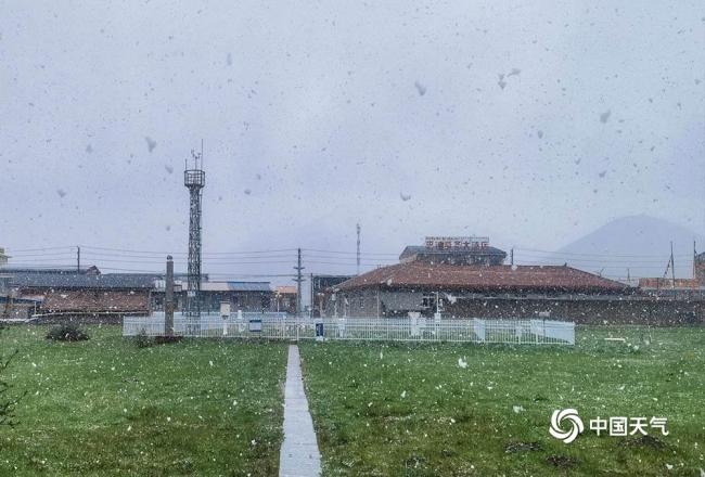 雪花漫天飞舞 青海久治六月迎来降雪插图