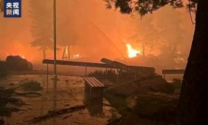 加拿大贾斯珀市被林火吞噬 近半数建筑被烧毁缩略图