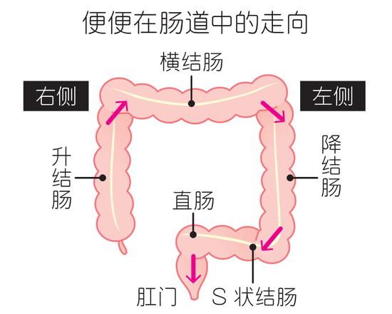 久坐没时间运动？早晚扭转瑜伽插图4