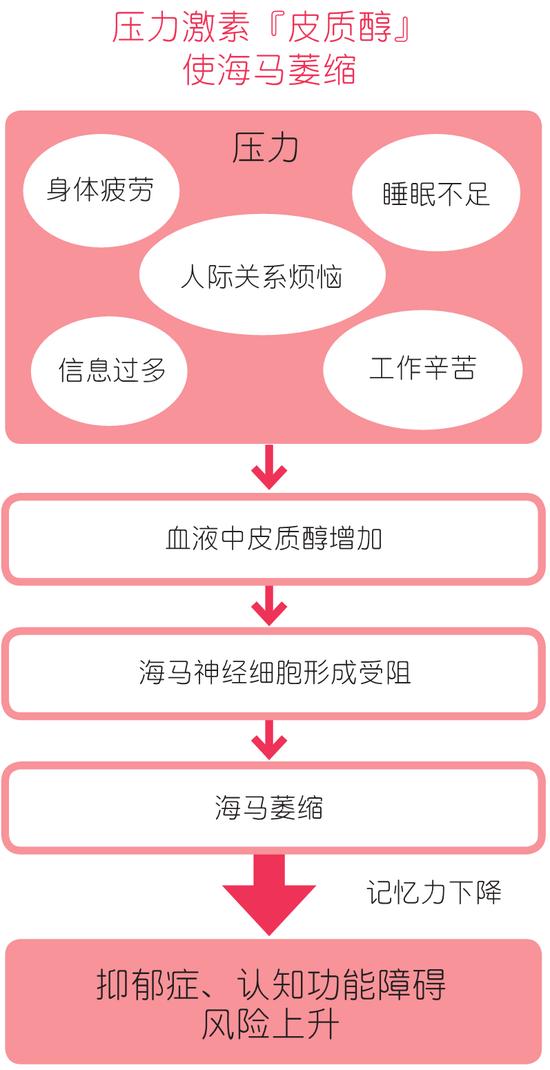 压力加速大脑萎缩？睡眠不足也会提高认知功能障碍的风险！插图2