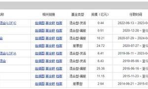 造星记丨净值“腰斩”、规模缩水近300亿，富国基金李元博为何亏损如此严重？缩略图