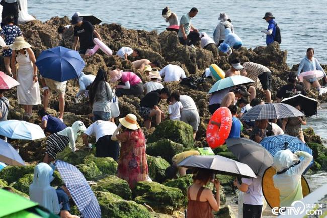 入秋后高温持续 大连市海滨浴场帐篷林立人山人海插图1