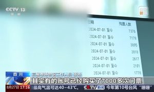 1个账号1个月参观7000次三星堆？黄牛乱象一治到底缩略图