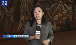 多国代表团在以总理讲话时离席退场缩略图