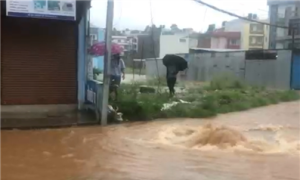 尼泊尔持续降雨已致60人死亡缩略图